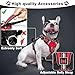 WINSEE Pet Harness Collar and Leash Set, All-in-one Reflective Dog Harness No Pull with Adjustable Buckles for Puppies, Small, Medium, Large, and Extra-Large Dogs (Medium, Red)
