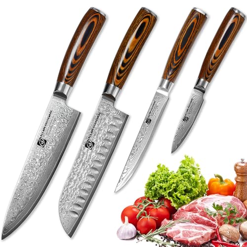 4Pcs Damascus Knife Set, VG10 Steel Core Damascus Kitchen Knife Set with G10 Handle, 8" Chef, 7" Santoku, 5" Utility & 3.5" Paring Knife for Cooking E