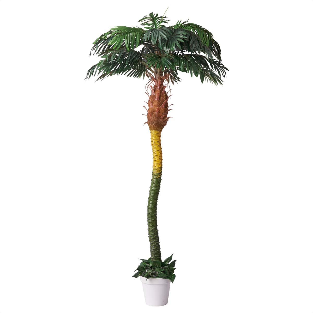 Amazon | フェイクグリーン デラックスパームツリー 高さ210cm Amazon | フェイクグリーン デラックスパームツリー 高さ210cm
