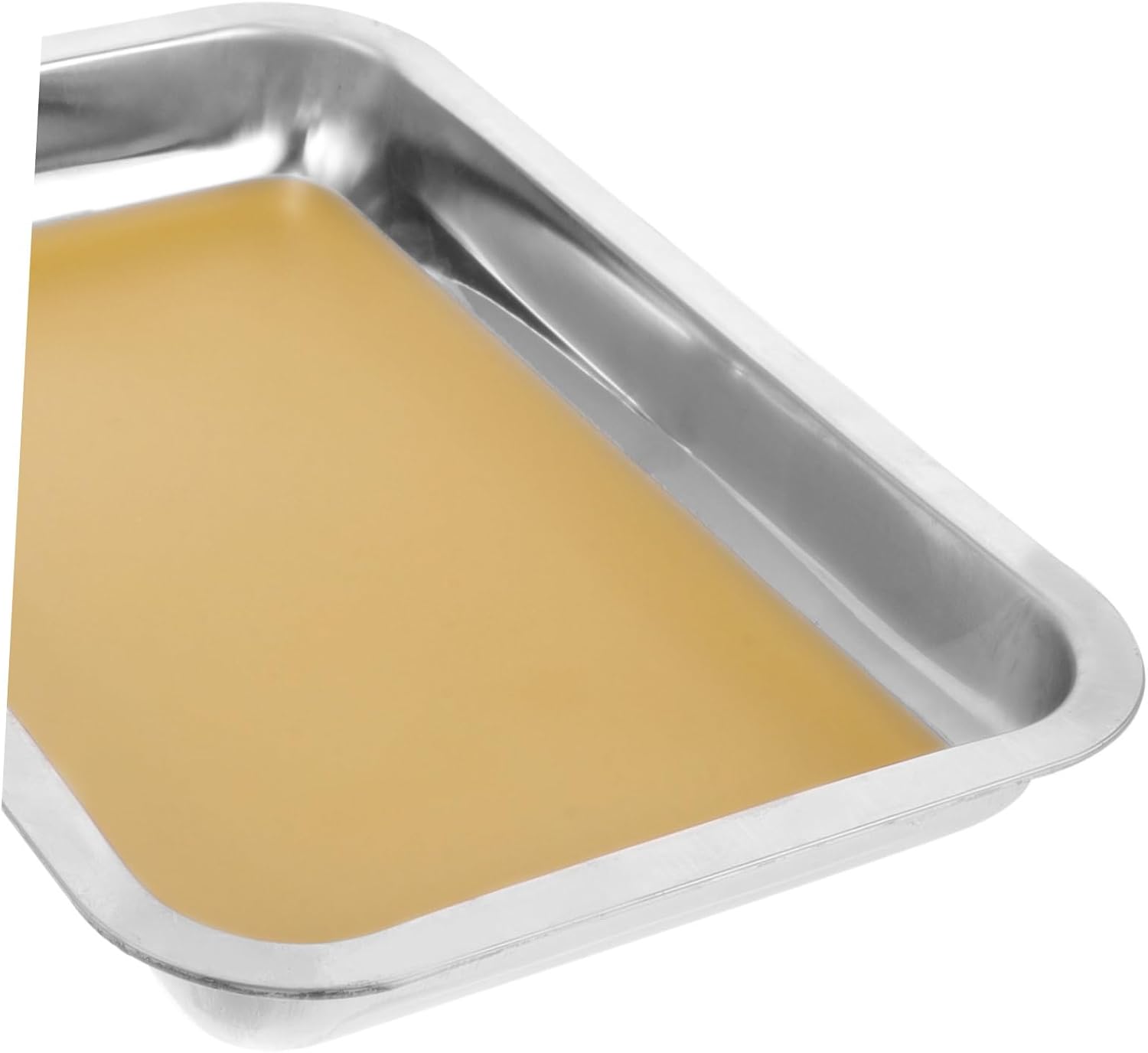 Dissection Trays Wax Stainless Steel Dissection Tray Compact Lab Dissecting Pan