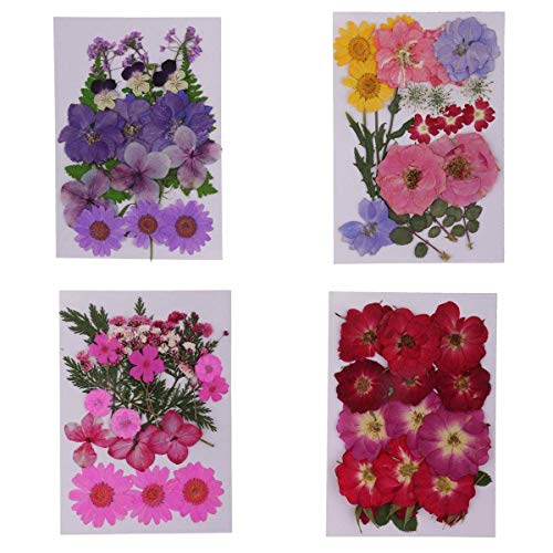 Flores secas naturales prensadas, pack 4 unidades miniatura 1