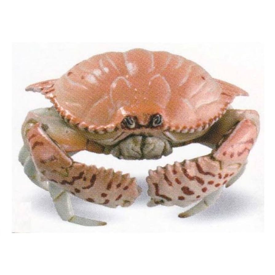 Amazon | 海洋堂 カプセルQ ミュージアム 日本カニ大全 トラフ