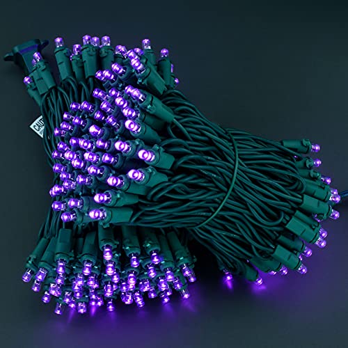 Yuletime Purple Wide Angle Led Christmas Lights, 66 Ft 200 Count, Pack Of 2 Strands 33 Ft 100 Lights Ul Certified Commercial Grade Green Wire 5Mm Holiday String Light (Purple) #TOP2