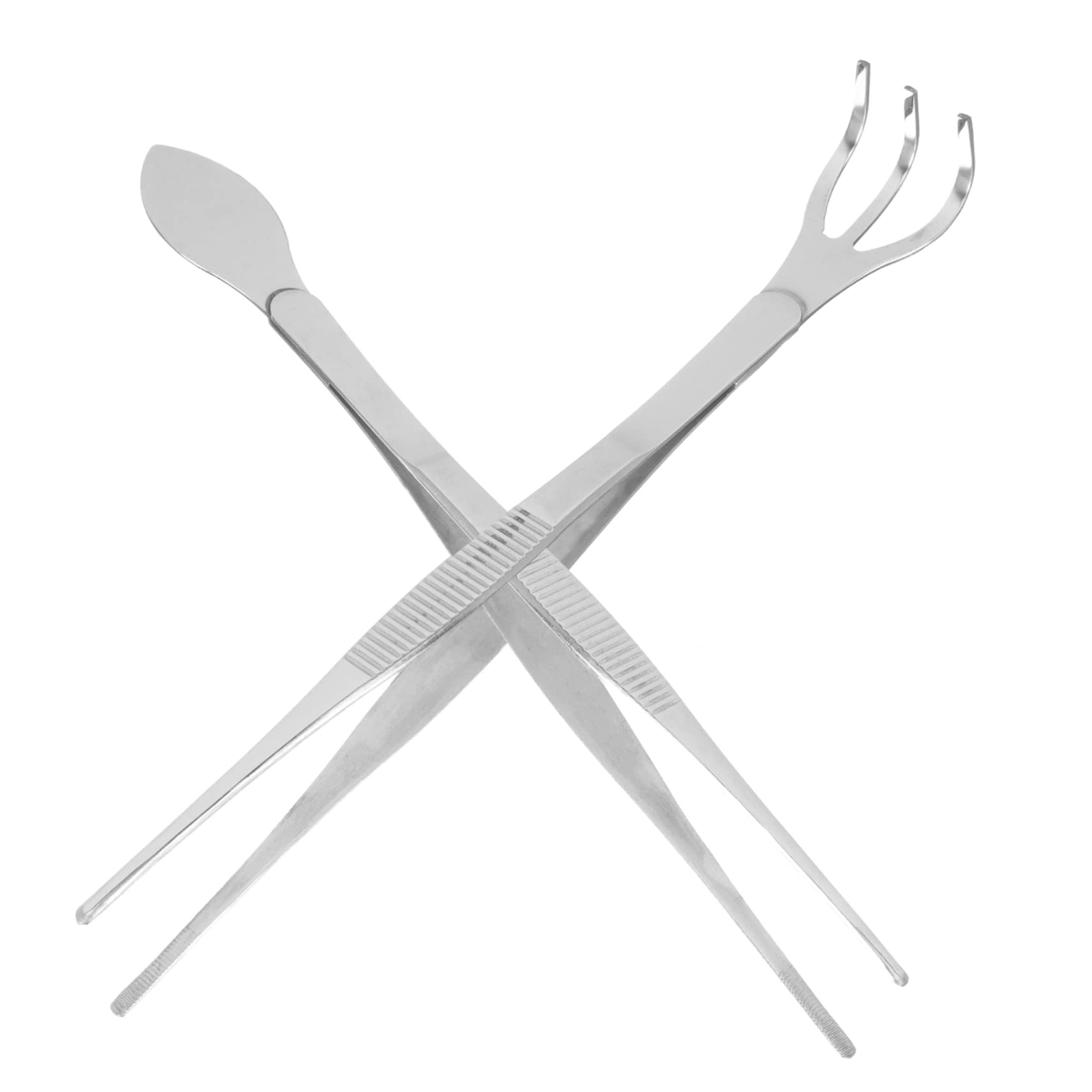 BESPORTBLE 2sets Pinzette Per Bonsai Acciaio Inossidabile Pinzette Per Giardinaggio Con Rastrello e Spatola Per Cambiamento Terreno e Manutenzione Piante