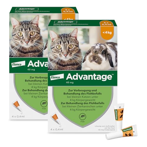 Advantage Spot On für Katzen & Kaninchen 40 mg (bis 4 kg) 4 Pipetten