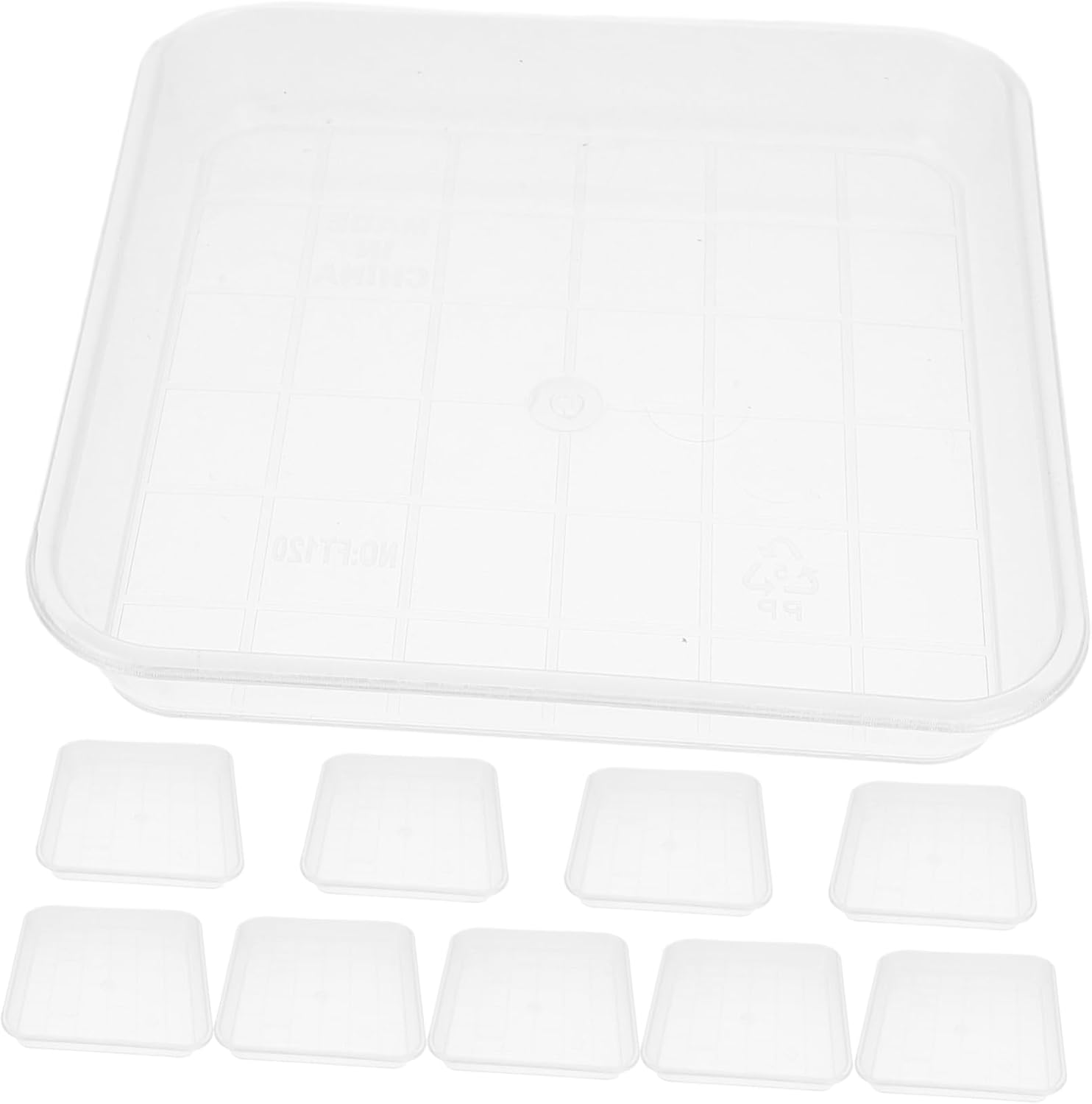 Yardenfun 10pcs Potted House Plants Clear Tray Indoor