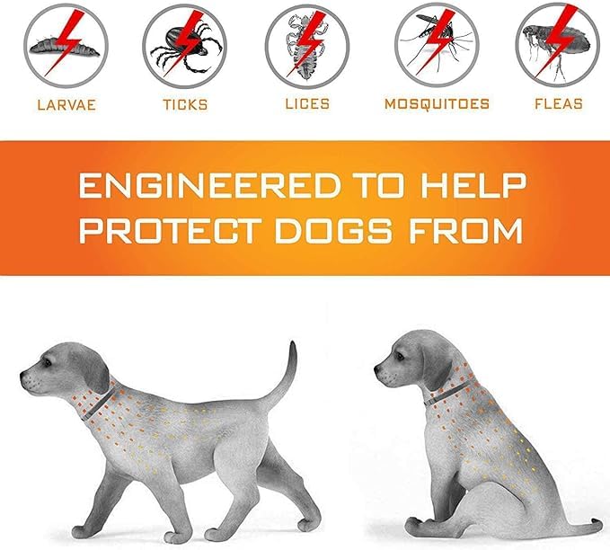 Protect Your Furry Friend from Deadly Parasites! Dog Flea and Tick Collar -The Best Protection! Size: 63 * 1.3CM for Dog. 4