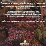 Uspokajajace kadzidlo ze swiezej lawendy - 80 szt. Kadzidelka niezawierajace wegla drzewnego, wykonane z kwiatów pochodzacych z recyklingu | Organiczne kadzidelka nietoksyczne | Stosuj dla relaksu