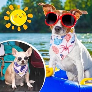   Reginary-72-Packs-Summer-Bandanas-for-Dog-Bulk-Fruit-Dog-Bandanas-Pet-Bandanas-Hawaiian-Triangle-Scarf-Bibs-Dog-Bibs-Adjustable-Dog-Bandana-for-Pet-Costume-Accessories-Classic