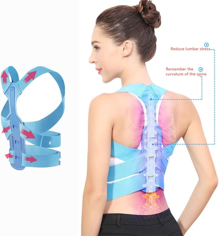 Back Brace Support Belt Adjustable Posture Corrector for Men and Women Clavicle Spine Back Shoulder Lumba(Purple Large)
