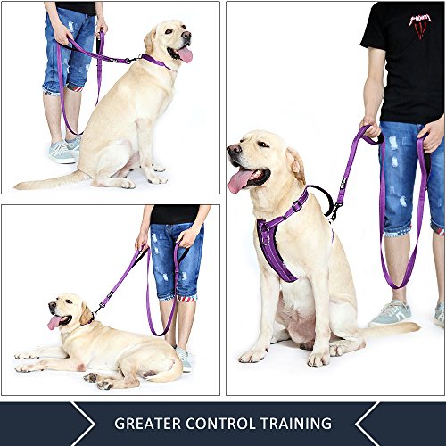Plutus Pet Dog Leash 6ft Long, Traffic Padded Two Handle, Heavy Duty, Reflective Double Handles Lead for Control Safety Training, Leashes for Large Dogs or Medium Dogs, Dual Handles Leads (Purple)