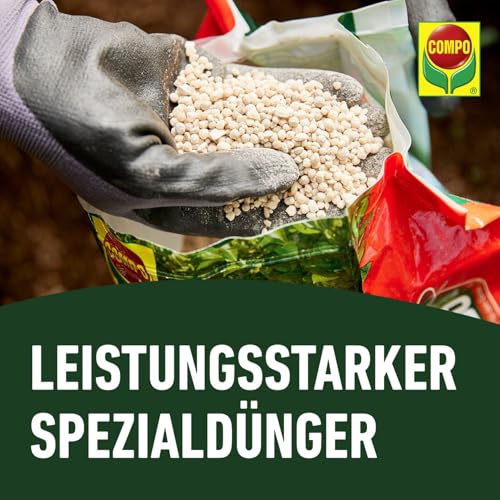 COMPO Heckenturbo - leistungsstarker Spezial-Dünger für Hecken und Neuanpflanzungen - Heckendünger für schnelles Wachstum - 4 kg, grün