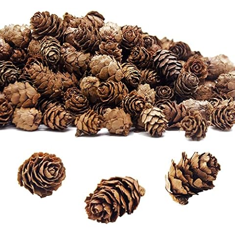 Deloky 400 PCS Christmas Natural Mini Pine Cones- Thanksgiving Pine Cones Ornaments- Fall Small Pinecones Vase Fillers for DIY Crafts, Home Decorations, Fall and Christmas, Wedding Decor Cover