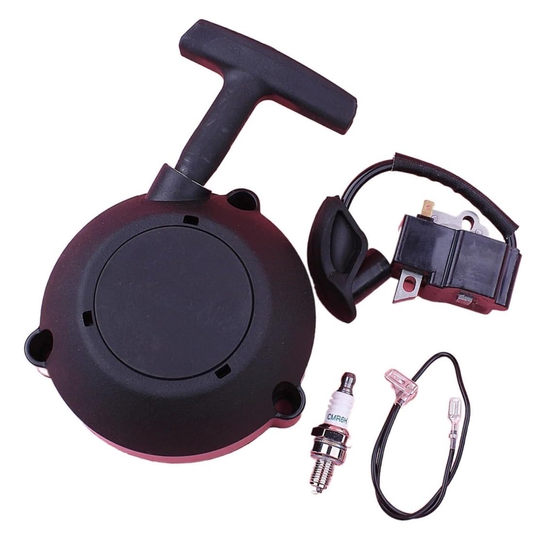 Bobine d'allumage contre les pannes de démarrage des moteurs BR600 42821900303