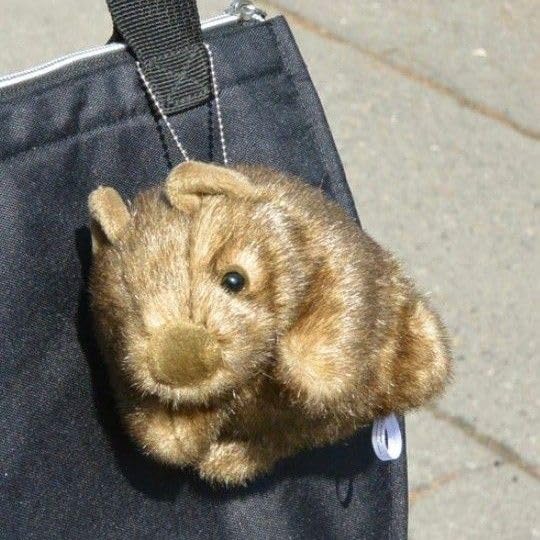 Amazon.co.jp: ウォンバット ボールチェーン 茶臼山動物園 ぬいぐるみ