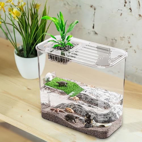 Réservoir de tortue transparent et multifonctionnel avec terrasse - 5