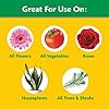 Miracle-Gro Water Soluble All Purpose Plant Food - Fertilizer For All Indoor or Outdoor Plants including Roses, Flowers, Vegetables, Houseplants, Trees, and Shrubs, 3 lbs. #3