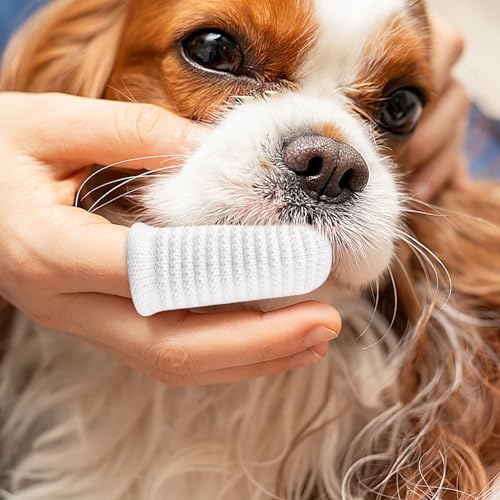 16 Stück Hundezahnbürste, Fingerzahnbürste Hund, Hundezahnbürste Fingerling Wiederverwendbar, Pet Finger Zahnbürste für Hunde Katzen Zahnpflege, Zahnreinigung Anti-Plaque Haustierzahnbürste