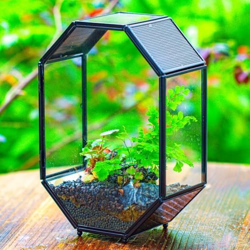 NCYP Glass Enclosure Terrarium with Mesh and Door for Jumping Spiders, Snails, Insects - Octagon Shape Small Terrarium 6.2 x 3.1 x 8.7 inches, Black Tabletop Decor (Plants Not Include) - 5