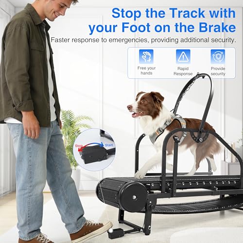 Image of Non-Motorized Dog Treadmill for Large /Medium Dogs with Pedometer, Wide Running Slatmill, Self-Powered with Brake, 5-Level Incline, Heavy Duty Slatmill Indoor Training Equipment
