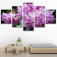 SIGNWIN 5 Panel Canvas Wall Art Modern Art Bohemian Bouquet Colorful Cool Floral Group Multicolor Photography Realism for Home Decorations Ready to Hang - 60