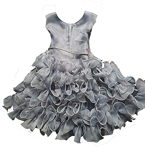 Image of Fit & Flare Net Fabric Frock Dress Frocks for Baby Girls