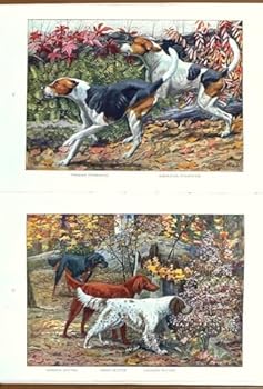 The Book of Dogs. An Intimate Study of Man's Best Friend