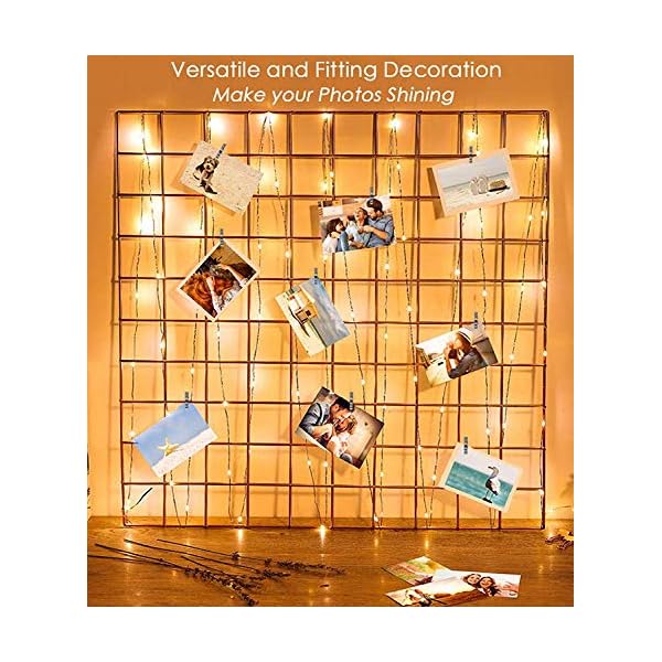 33Ft Photo Clip Fairy Lights with 50 Clips LECLSTAR 100 LED String