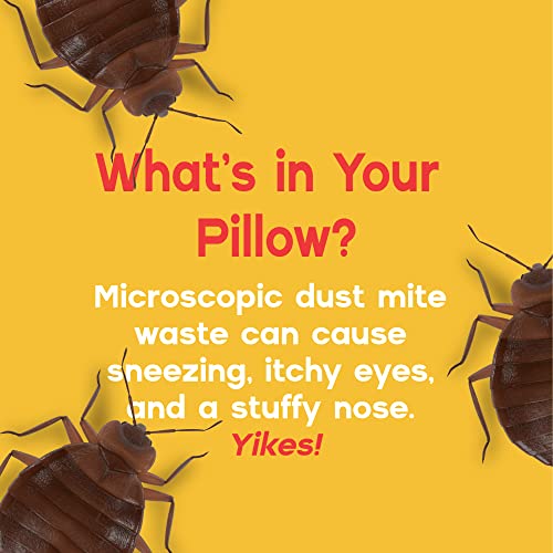 Demite Allergy Pillow Protector 2-Pack - Polyester Barrier Pillow Covers - Protect Against Bed Bugs - Control Your Allergic Reactions With Hypoallergenic Pillowcases Zipper (Standard Size - 21” X 27”) #TOP6