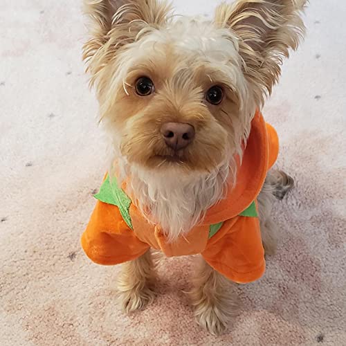 Nacoco Dog Pumpkin Costume Cat Halloween Clothes Puppy Fleece Hoodie Pet Coat For Small To Medium Dogs(Xl) #TOP1