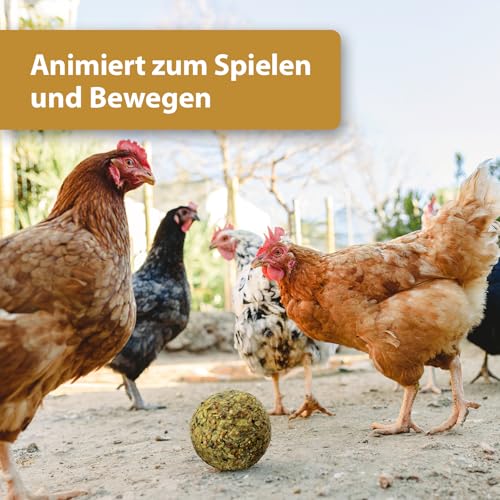Quiko Hobby Farming Fitness Kräuter Ball 4X 100g - Hühner Beschäftigung - Bunter Fitness Ball aus schmackhaften Kräutern und Leckereien - Fördert das natürliche Pickverhalten Ihrer Hühner