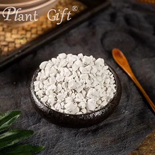 Plant Gift 100% Sweet Potato Powder 100G/3.25oz 红薯粉, Non-GMO, kein Füllstoff, keine Zusatzstoffe, natürliche Süßkartoffel-Mehl, bester Geschmack zum Backen, verleiht Geschmack und Aroma.