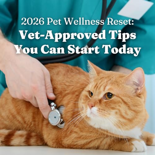 2026 Pet Wellness Reset: Vet-Approved Tips You Can Start Today for Dogs and Cats that Pet Parents Should Save or Follow