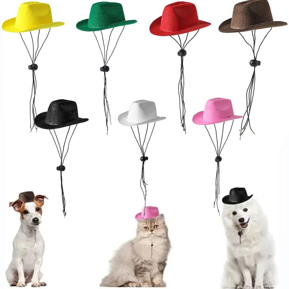 2 pezzi Costume da cowboy per animali domestici, cappello da cowboy