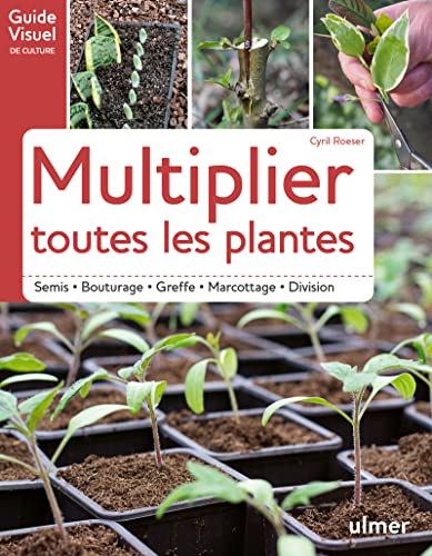 Multiplier toutes les plantes - Semis, bouturage...