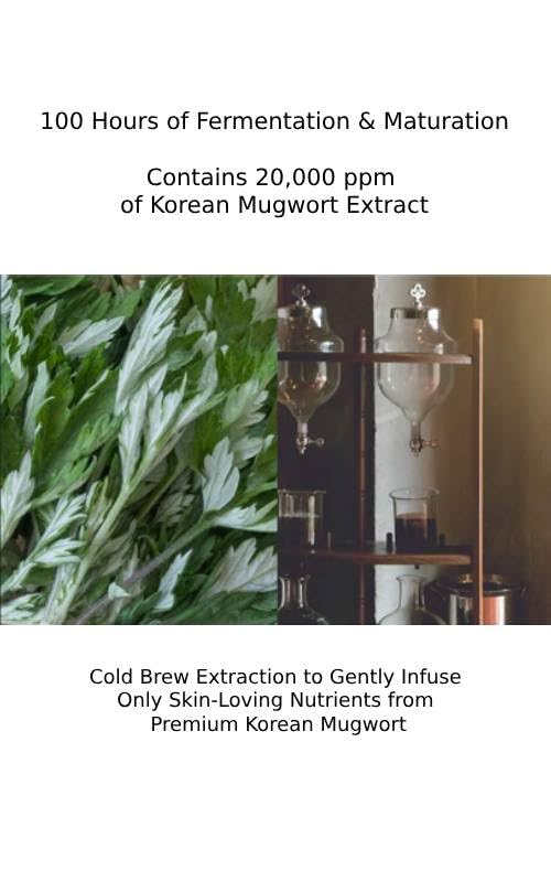 CHARMZONE Mugwort Lotion The Original 4.06oz – Hydrating & Soothing Moisturizer for Balanced Skin - Image 3