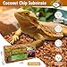 Riare 8 Pack Natural Coconut Chip Substrate for Reptiles- Compressed Coconut Husk Reptiles Bedding, Coco Husk Chip Terrarium Substrate for Snakes, Tortoises, Ball Python, Frogs, Bearded Dragon, Lizard