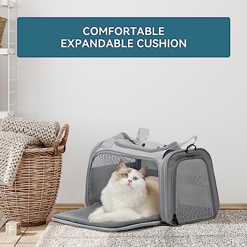 Petsfit Transportadora Para Gatos, Transportadora Para Animais De Estimação Aprovada Pela Companhia