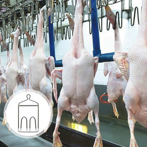 Crochets de suspension viande robustes pour optimiser l'abattage