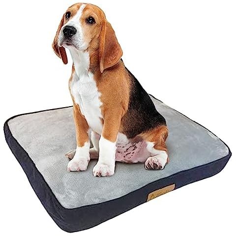 Matelas Doux Ellie-Bo pour Chiens Cover