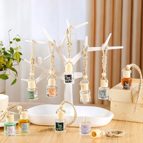 Image of Funnymoom 20 Pcs Inspirational Gifts Bulk Empty Glass Car Air Freshener Diffuser Hanging Employee Appreciation Thank You Gifts for Staff Coworker Office Nurse Teacher Volunteer Hanging Decor
