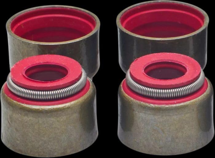 Replacement Valve Guide Seals for 71045-4