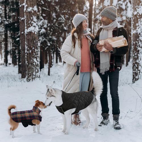 Image of Kuoser Waterproof Dog Coat, Warm Reversible Dog Jacket with Leash Hole | Soft Cozy Dog Cold Weather Coats for Rainy Snow Days, Lightweight Jacket for Meduim Dogs, Xmas Dogs Snowsuit Royal Blue L
