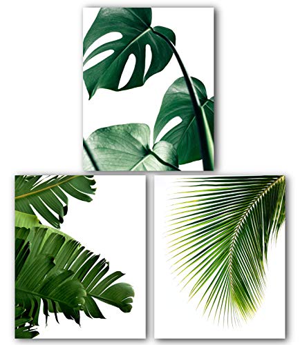 Monstera, Banana, Palm Leaf Prints, Set Of 3, Tropical Leaves, 8 x 10 Inches, Unframed