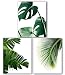 Monstera, Banana, Palm Leaf Prints, Set Of 3, Tropical Palm Leaves, 8 x 10 Inches, Unframed