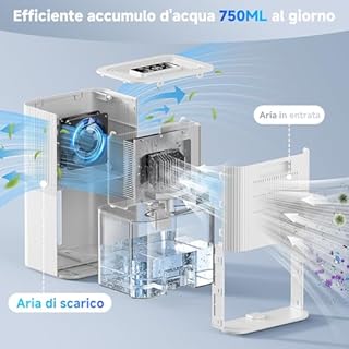 Deumidificatore da 2,7L per la casa, deumidificatore elettrico per la camera da letto, silenzioso e con comandi touch, deumidificatore per il bagno(bianco1100 ml/24 h)