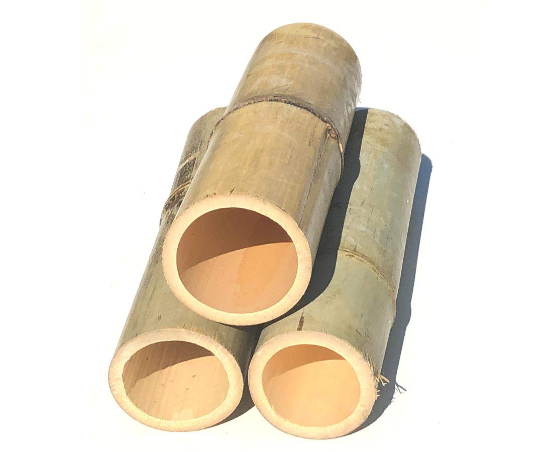 Bambus als Pflanzen- und Setzlingen Schutz, 25cm hoch - Durchmesser von 6-7,5cm - kleine Wuchsshülle