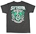 Harry Potter Slytherin Crest Youth T-Shirt - Heather Charcoal (Youth Medium)