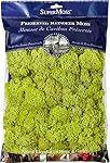 Artificial Plants Moss