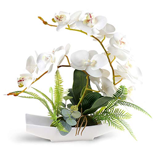 Yobansa Decorativo Real Touch Orchid Bonsai Flores Artificiales con macetas de Porcelana de imitación Phalaenopsis Arreglos Florales para la decoración del hogar (White)